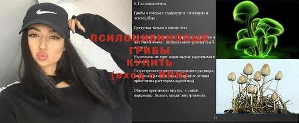 прущие крисы Алексин